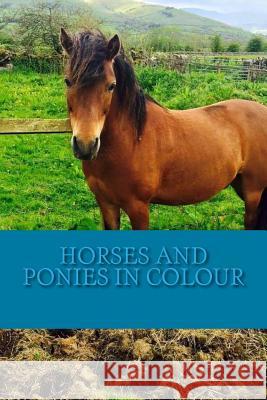 Horses and Ponies in Colour: Full colour photographs of various breeds of horse and pony Cartmell, C. 9781540303547 Createspace Independent Publishing Platform - książka