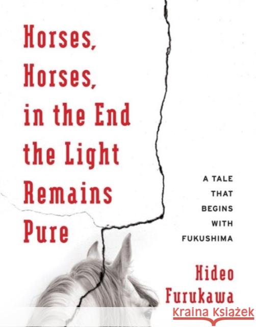 Horses, Horses, in the End the Light Remains Pure: A Tale That Begins with Fukushima Hideo Furukawa Doug Slaymaker Akiko Takenaka 9780231178686 Columbia University Press - książka
