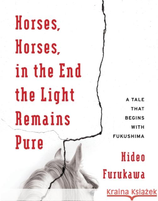 Horses, Horses, in the End the Light Remains Pure: A Tale That Begins with Fukushima Hideo Furukawa Doug Slaymaker Akiko Takenaka 9780231178693 Columbia University Press - książka