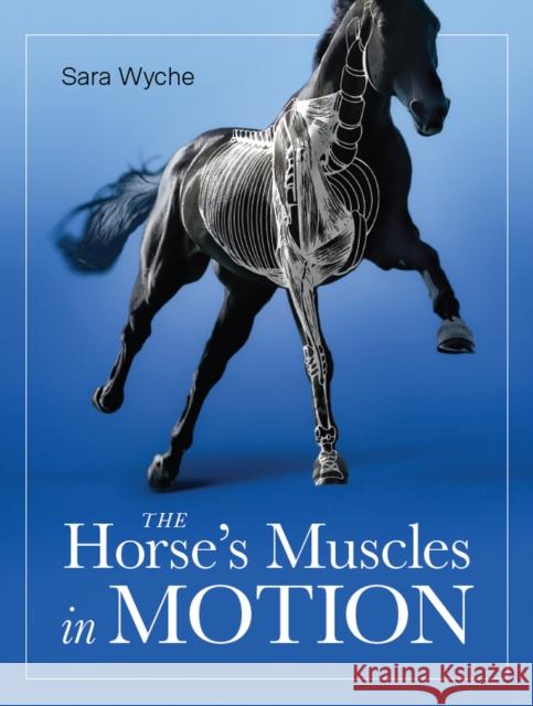 Horse's Muscles in Motion Sara Wyche 9780719840869 The Crowood Press Ltd - książka