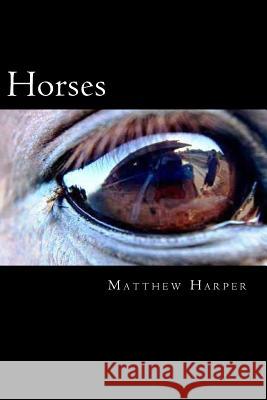 Horses: The Essential Guide To Horses For Kids Harper, Matthew 9781499232134 Createspace - książka