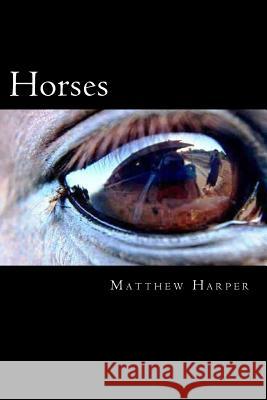 Horses: The Essential Guide To Horses For Kids Harper, Matthew 9781499245349 Createspace - książka