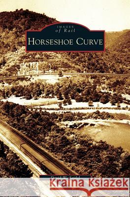 Horseshoe Curve David W. Seidel 9781531636562 Arcadia Library Editions - książka