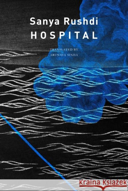 Hospital Arunava Sinha 9781803091723 Seagull Books London Ltd - książka