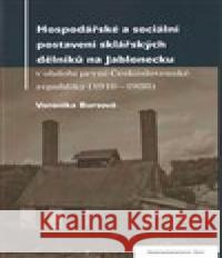 Hospodářské a sociální postavení sklářských dělníků na Jablonecku Veronika Bursíková 9788087607619 Nakladatelství Bor - książka