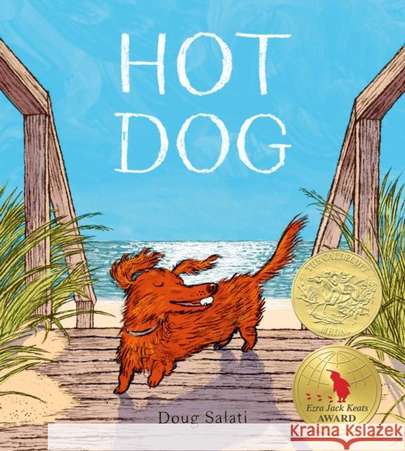 Hot Dog Doug Salati 9780593308431 Alfred A. Knopf Books for Young Readers - książka