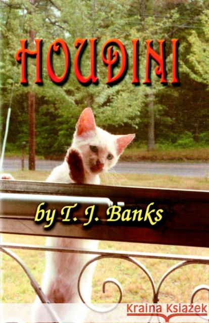 Houdini T. J. Banks 9781591137344 BOOKLOCKER INC.,US - książka