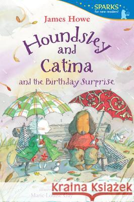Houndsley and Catina and the Birthday Surprise James Howe Marie-Louise Gay 9780763666392 Candlewick Press (MA) - książka