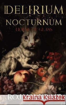 House of Glass Rojana Krait   9781088201183 IngramSpark - książka