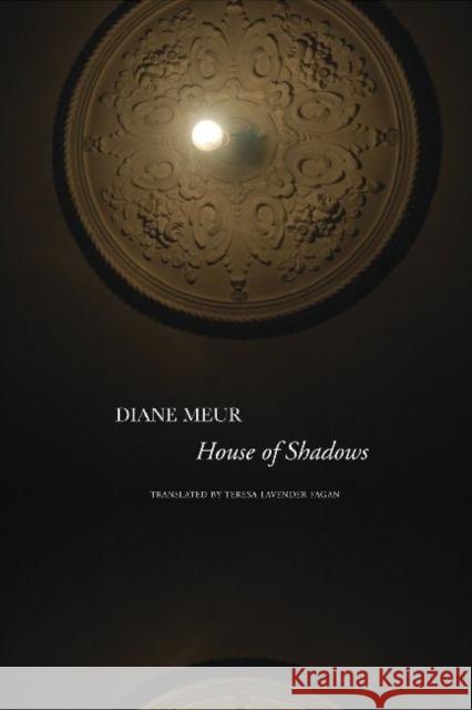 House of Shadows Diane Meur Teresa Lavender Fagan 9780857420282 Seagull Books - książka