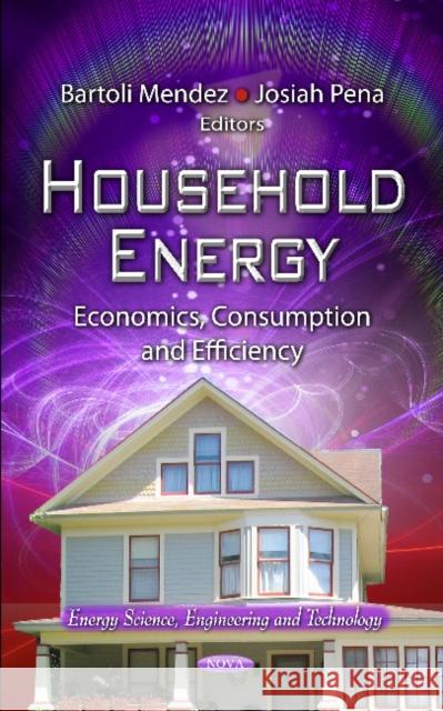 Household Energy: Economics, Consumption & Efficiency Bartoli Mendez 9781614705031 Nova Science Publishers Inc - książka