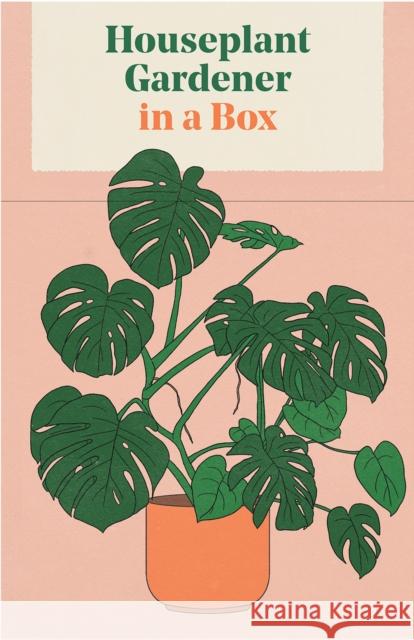 Houseplant Gardener in a Box Jane Perrone 9781837760169 Thames & Hudson Ltd - książka