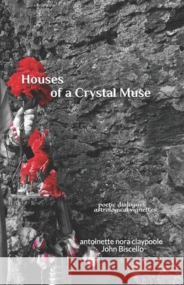 Houses of a Crystal Muse John Biscello Anthony DiStefano Issa de Nicola 9781675345665 Independently Published - książka