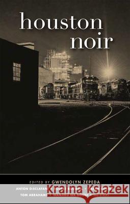 Houston Noir  9781617758041 Akashic Books - książka