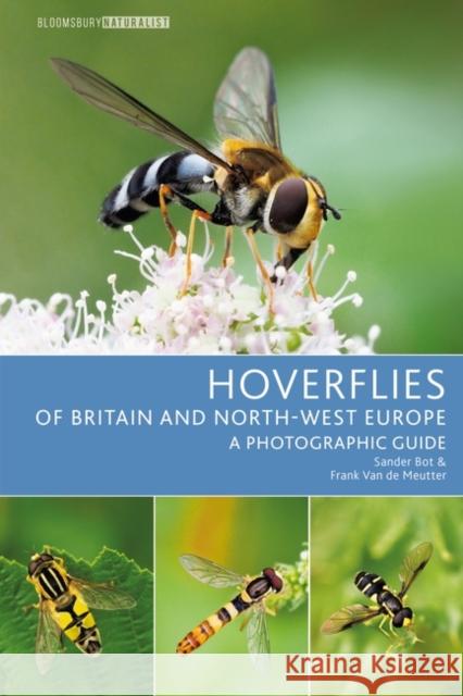 Hoverflies of Britain and North-west Europe: A photographic guide Frank Van de Meutter 9781399402453 Bloomsbury Publishing PLC - książka