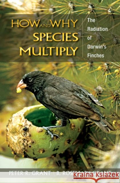 How and Why Species Multiply: The Radiation of Darwin's Finches Grant, Peter R. 9780691149998 Princeton University Press - książka