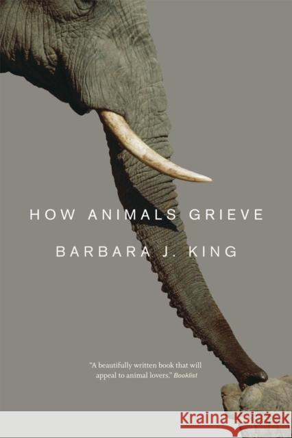 How Animals Grieve King, Barbara J 9780226155203 The University of Chicago Press - książka