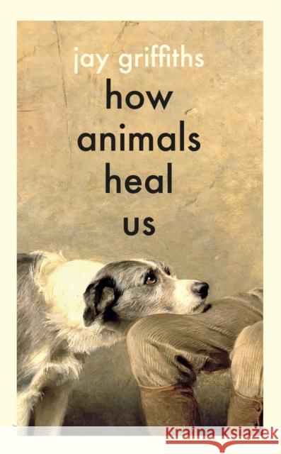 How Animals Heal Us Jay Griffiths 9780241614358 Penguin Books Ltd - książka