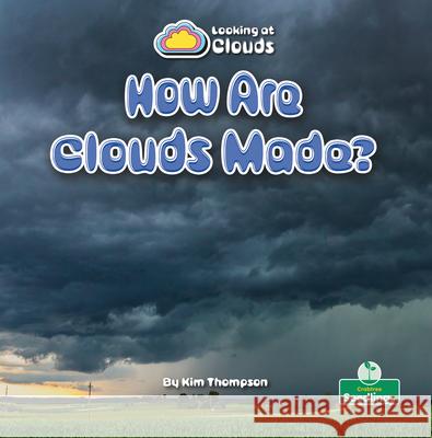 How Are Clouds Made? Kim Thompson 9781039884823 Crabtree Seedlings - książka