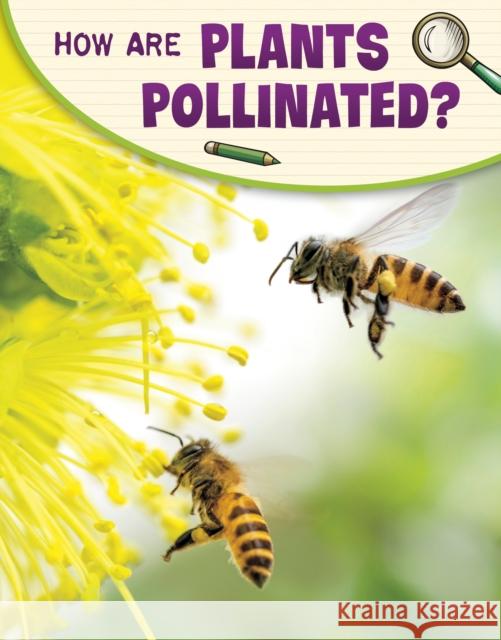 How Are Plants Pollinated? Emily Raij 9781398225299 Capstone Global Library Ltd - książka