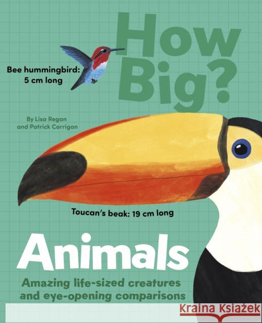 How Big? Animals: Amazing Life-Sized Creatures and Eye-Opening Comparisons  9781398828575 Arcturus Publishing Ltd - książka