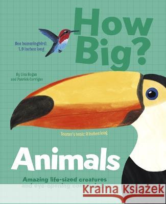 How Big? Animals: Amazing Life-Sized Creatures and Eye-Opening Comparisons Patrick Corrigan Lisa Regan 9781398836846 Arcturus Editions - książka