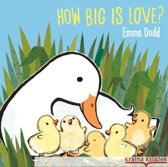 How Big Is Love? Emma Dodd 9781787417113 Templar Publishing - książka