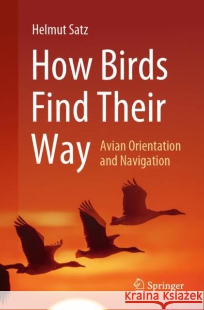 How Birds Find Their Way: Avian Orientation and Navigation Helmut Satz 9783031921803 Springer - książka
