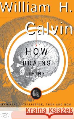 How Brains Think: Evolving Intelligence, Then and Now Calvin, William H. 9780465072781 Basic Books - książka