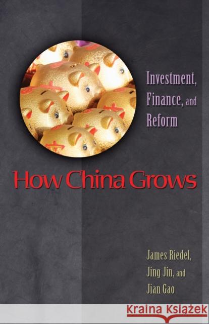 How China Grows: Investment, Finance, and Reform Riedel, James 9780691125626  - książka