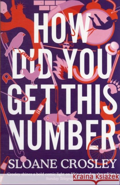 How Did You Get This Number Sloane Crosley 9781846272264  - książka