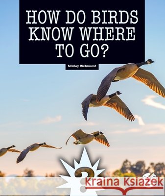 How Do Birds Know Where to Go? Marley Richmond 9781503878716 Child's World Stride - książka