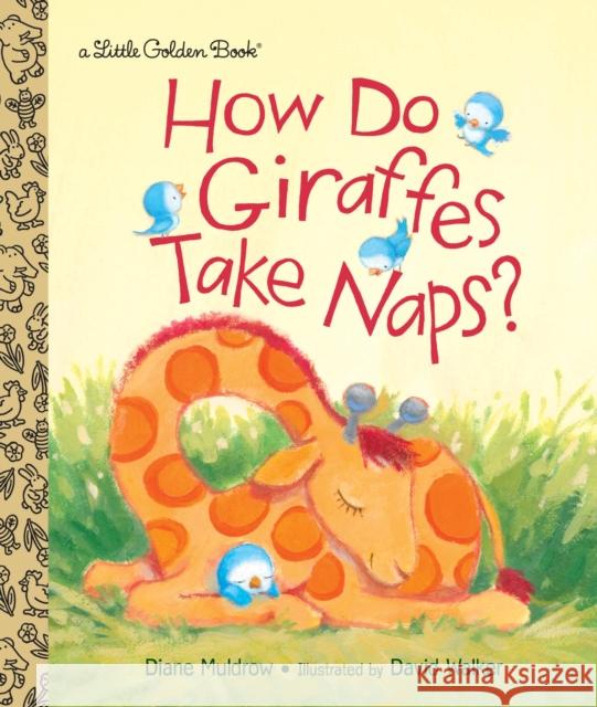 How Do Giraffes Take Naps? Diane Muldrow David Walker 9780553513332 Random House USA Inc - książka