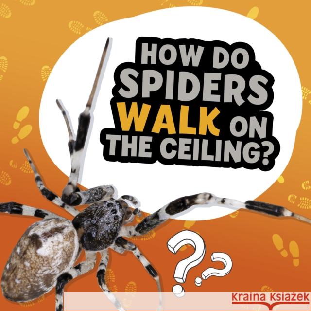 How Do Spiders Walk on the Ceiling? Nancy Dickmann 9781398215672 Capstone Global Library Ltd - książka