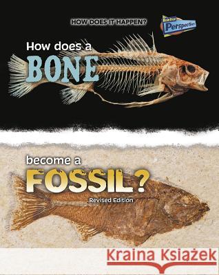 How Does a Bone Become a Fossil? Melissa Stewart 9781410985293 Raintree - książka