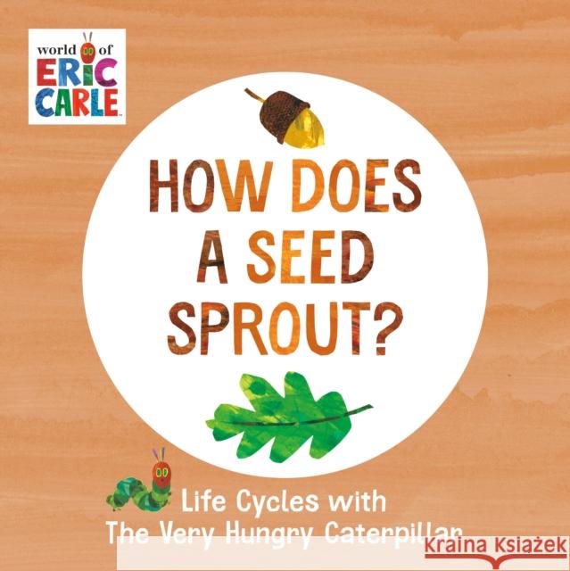 How Does a Seed Sprout?: Life Cycles with The Very Hungry Caterpillar Eric Carle 9780593386262 Penguin Young Readers - książka