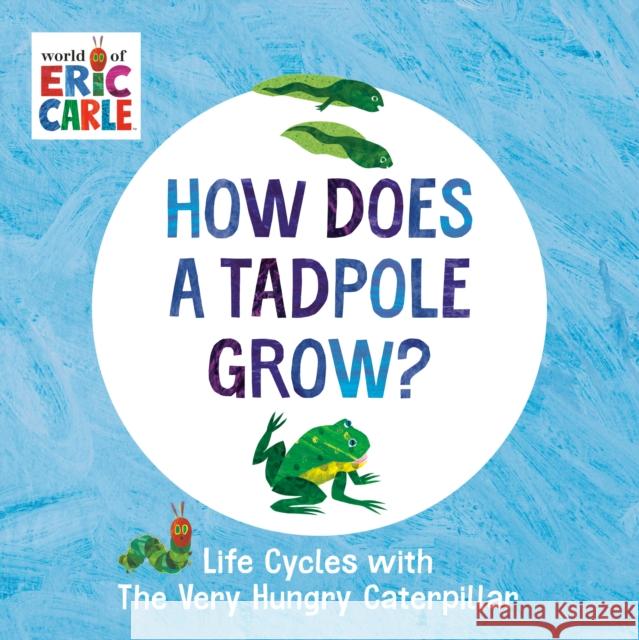 How Does a Tadpole Grow?: Life Cycles with The Very Hungry Caterpillar Eric Carle 9780593386255 Penguin Young Readers - książka