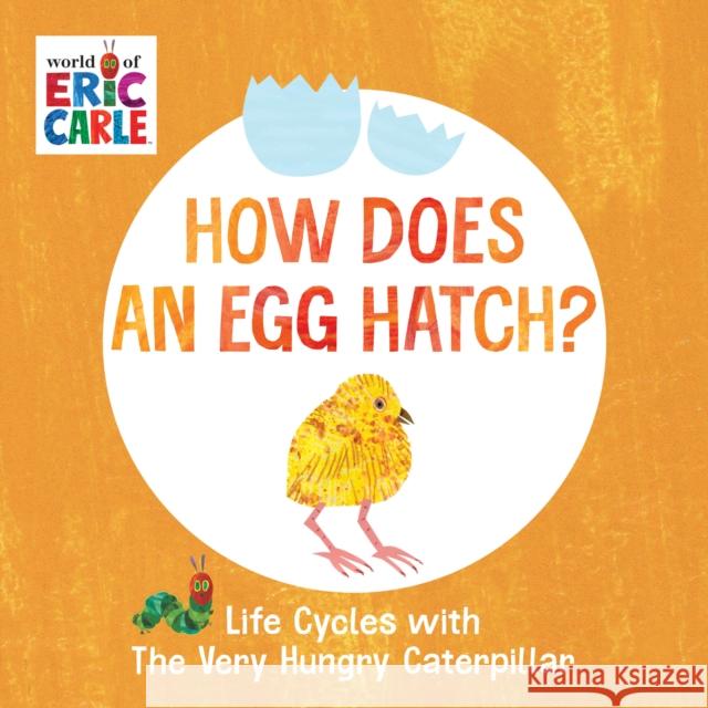 How Does an Egg Hatch?: Life Cycles with The Very Hungry Caterpillar Eric Carle 9780593385616 Penguin Young Readers - książka