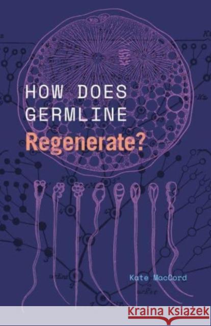 How Does Germline Regenerate? Kate Maccord 9780226830490 University of Chicago Press - książka