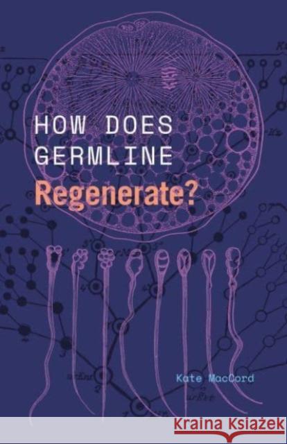 How Does Germline Regenerate? Kate Maccord 9780226830513 University of Chicago Press - książka