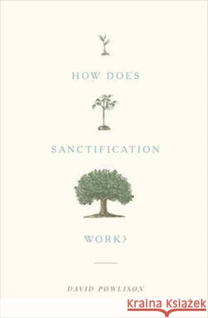 How Does Sanctification Work? David Powlison 9781433556104 Crossway Books - książka