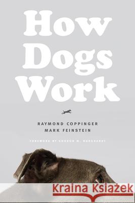 How Dogs Work Coppinger Raymond 9780226637761 The University of Chicago Press - książka