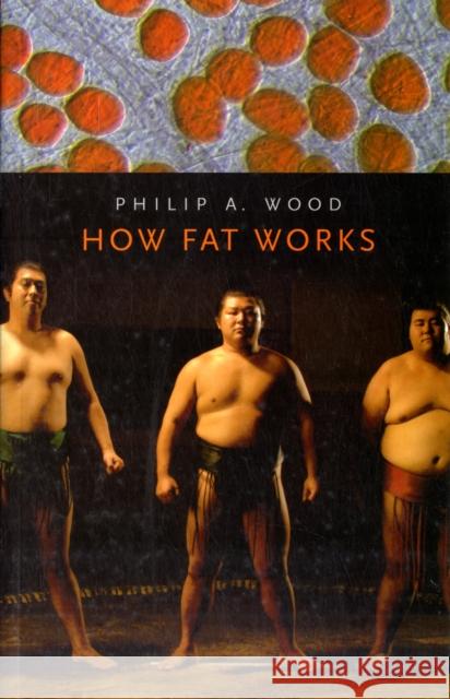 How Fat Works Philip A. Wood 9780674034990 Harvard University Press - książka