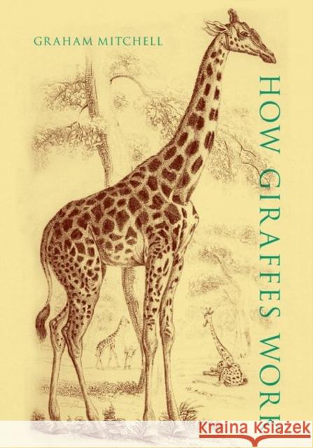 How Giraffes Work Graham Mitchell 9780197571194 Oxford University Press, USA - książka