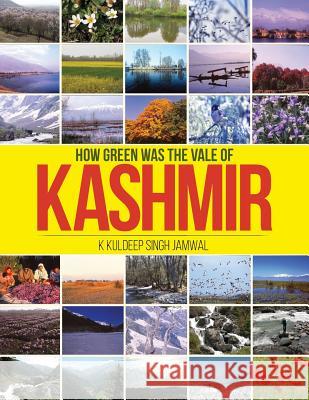 How Green Was the Vale of Kashmir K. Kuldeep Singh Jamwal 9781644291757 Notion Press, Inc. - książka