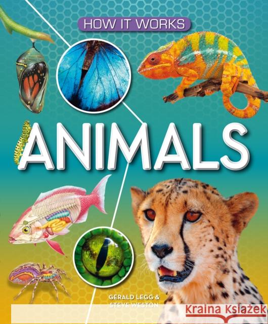 How It Works: Animals Gerald Legg 9781782700012 Award Publications Ltd - książka