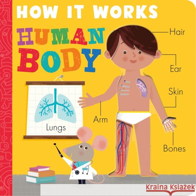 How It Works: Human Body Amelia Hepworth David Semple 9781680106978 Tiger Tales - książka