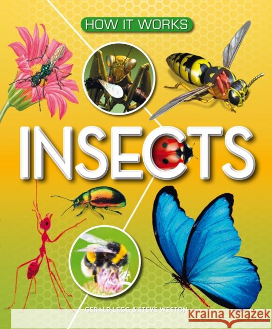 How It Works: Insects Gerald Legg 9781782700005 Award Publications Ltd - książka