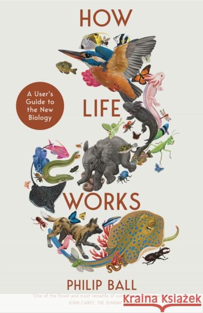 How Life Works: A User’s Guide to the New Biology Philip Ball 9781529095982 Pan Macmillan - książka