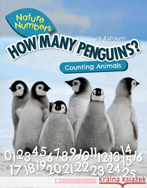 How Many Penguins?: Counting Animals (Nature Numbers) Jill Esbaum 9781338765199 Scholastic Inc. - książka